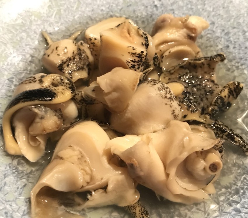 つぶ貝煮